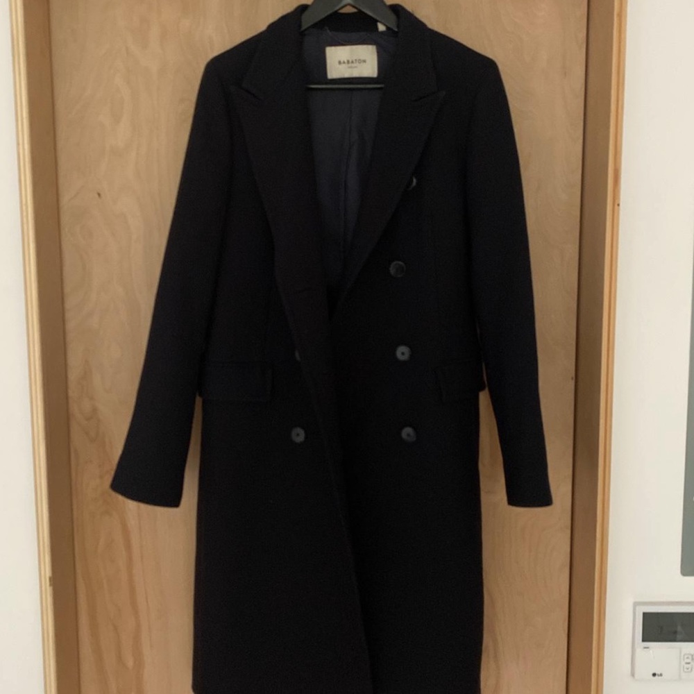 Aritzia Coat